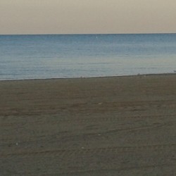 Sand Chicago